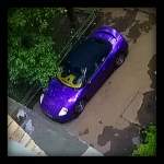 ������ ��� stels